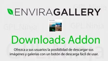 Envira Gallery Downloads
