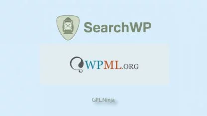 searchwp-wpml-416x234.jpg SearchWP WPML - Imagen 1